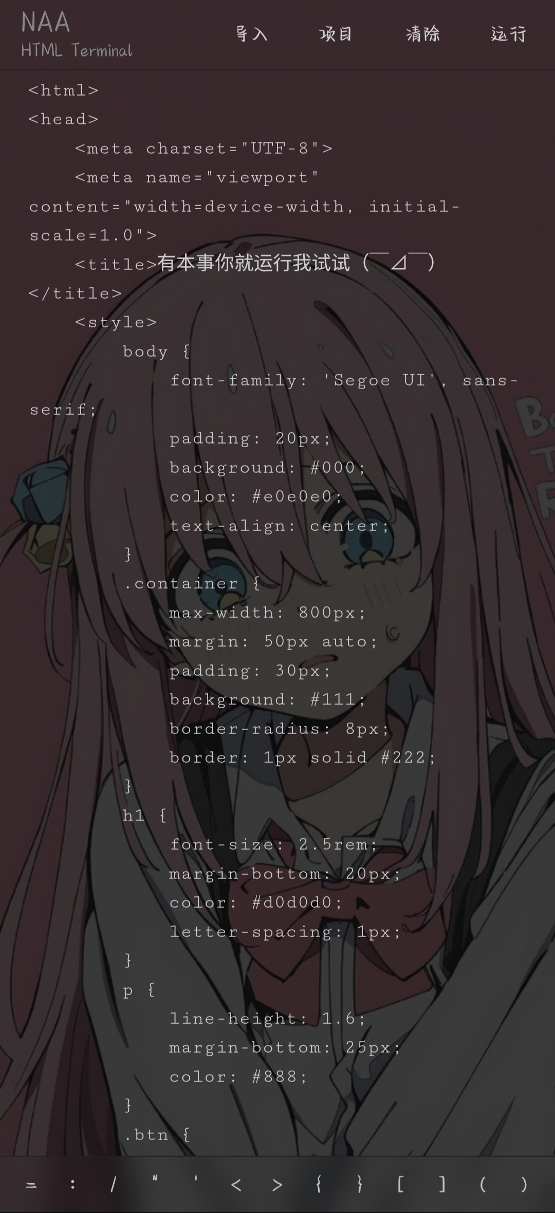 NAA Terminal界面预览1